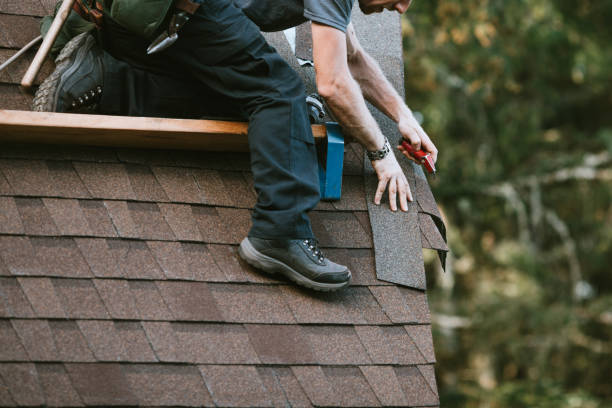 Best Storm Damage Roof Repair  in Pine Bush, NY